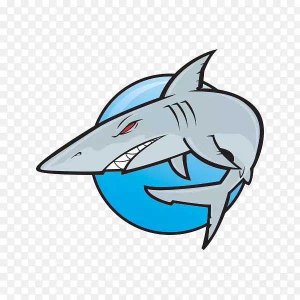 大白鲨锤头鲨卡通鲨鱼