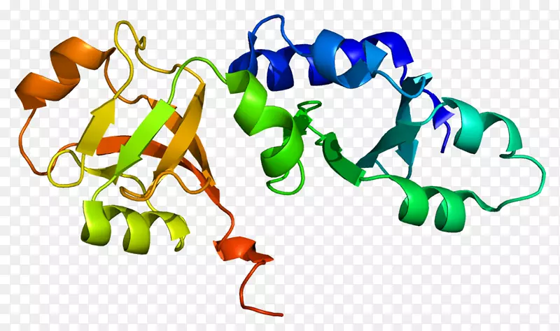 艺术剪贴画的有机体系列作品-蛋白质