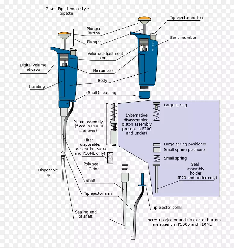 空气置换吸管容积吸管巴斯德吸管刻度吸管-复活节模板