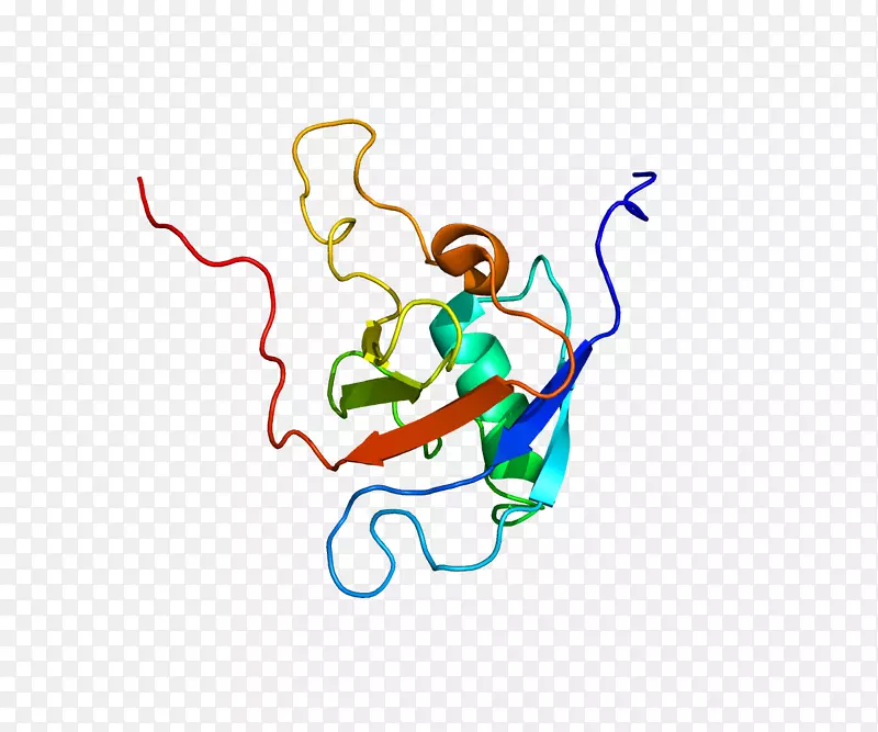 plxnb1半指素plexin sema结构域跨膜蛋白-蛋白