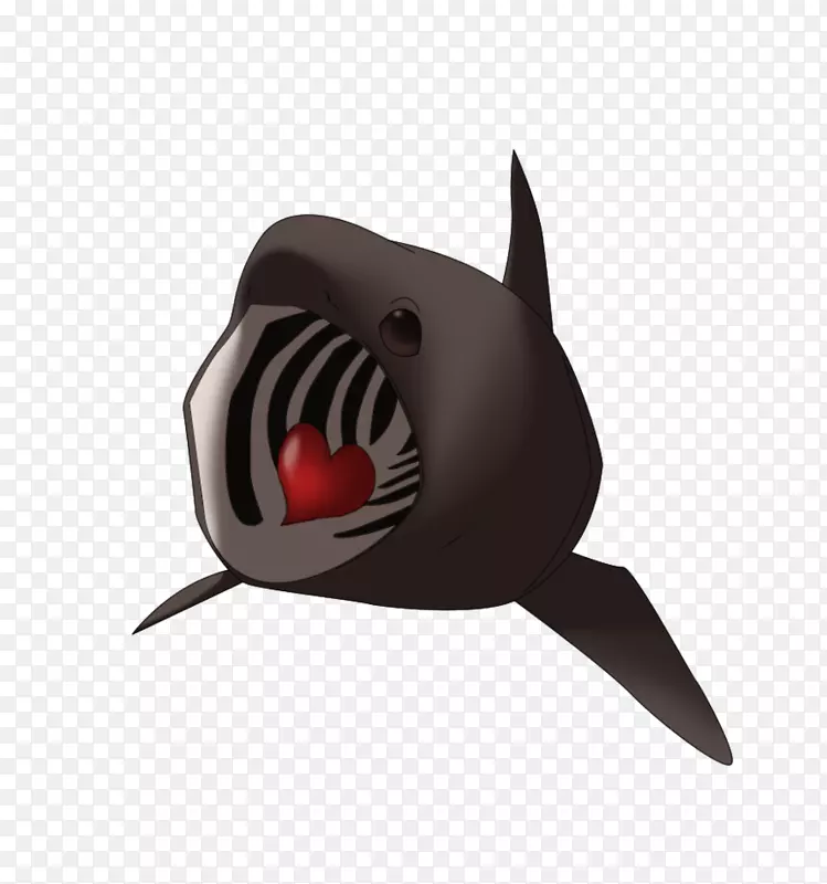 晒鲨鱼画虎鲨-可爱的鲨鱼