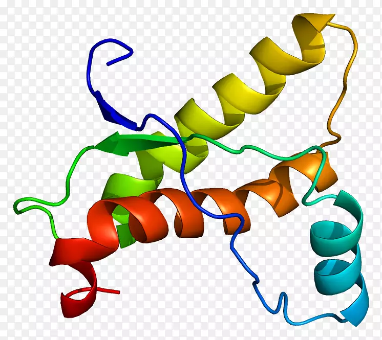 PrNP蛋白折叠类病毒蛋白