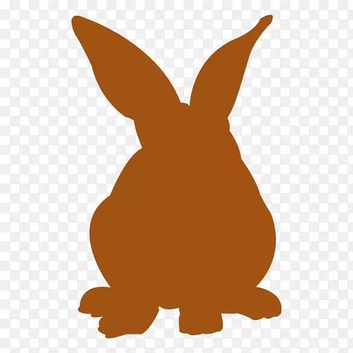 欧洲兔子复活节兔家养兔