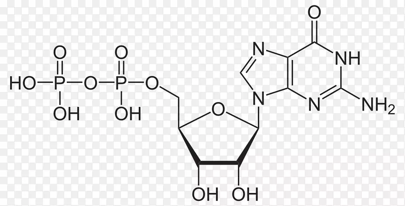 环磷酸腺苷-三磷酸腺苷-二磷酸腺苷第二信使系统-分子结构