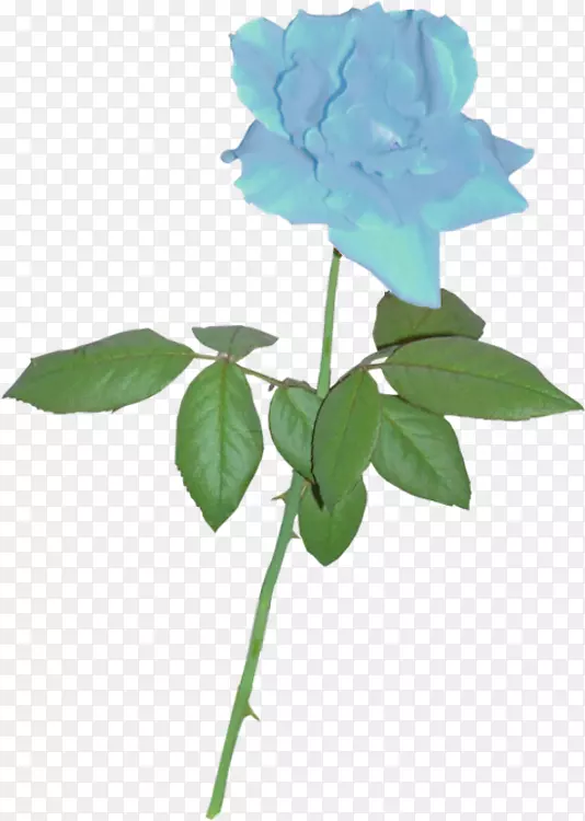 剪影玫瑰剪贴画-蓝色玫瑰