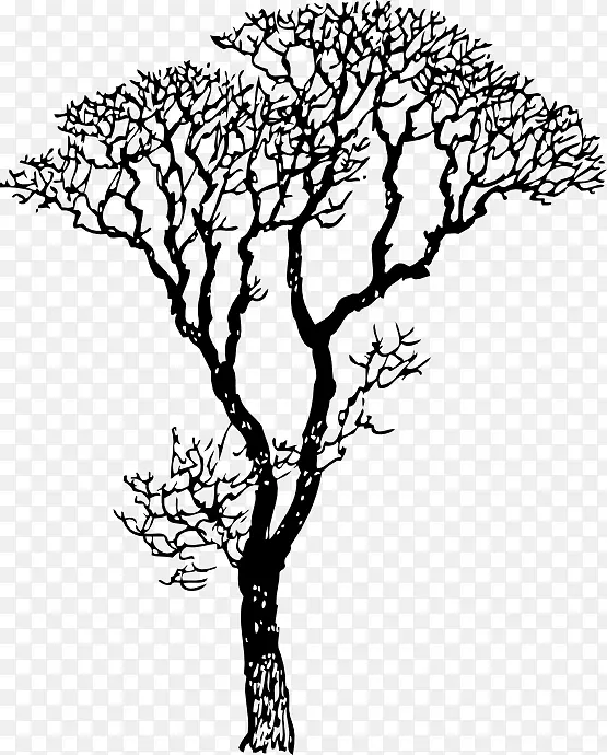 绘画线条艺术树剪贴画黑树
