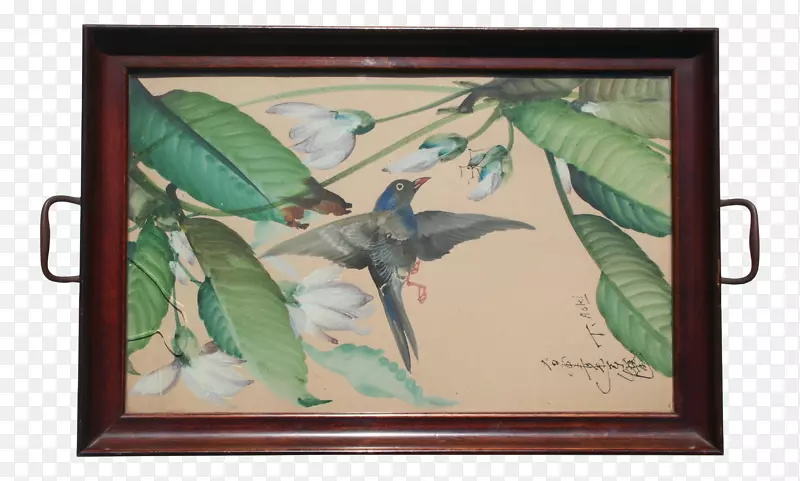 绘画画框动物传粉艺术作品手绘鸟类