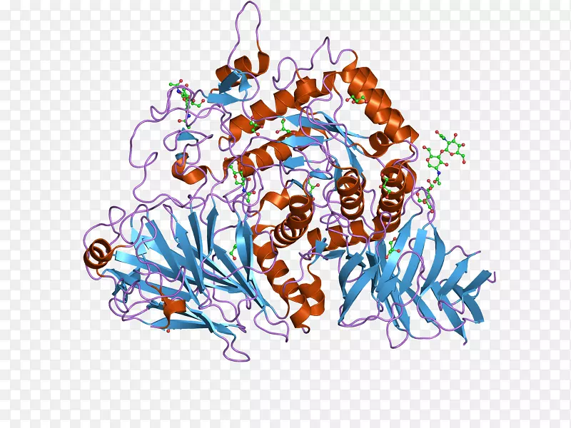 麦芽糖酶-蔗糖酶α-葡萄糖苷酶水解-血浆