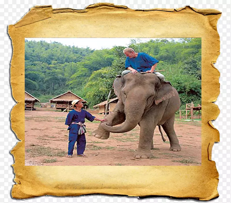 非洲象印度象野生动物纸-泰国象