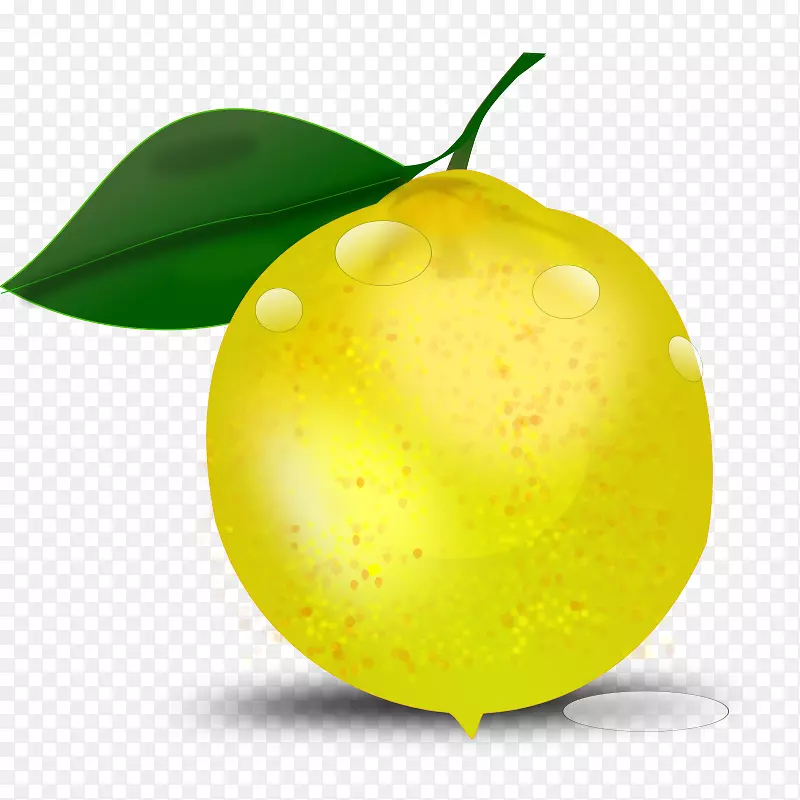 柠檬剪贴画-摄影写实