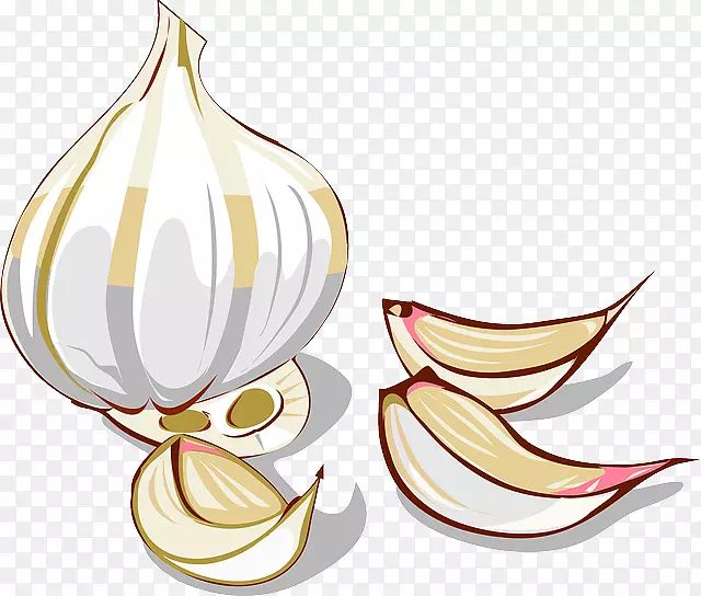大蒜洋葱植物剪辑艺术-卡通大蒜