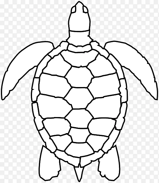 绿海龟画夹艺术-海龟