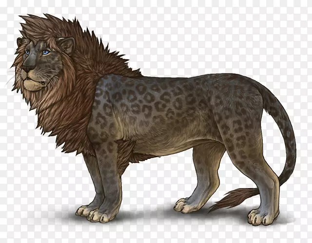 狮子豹动物大猫斑驳