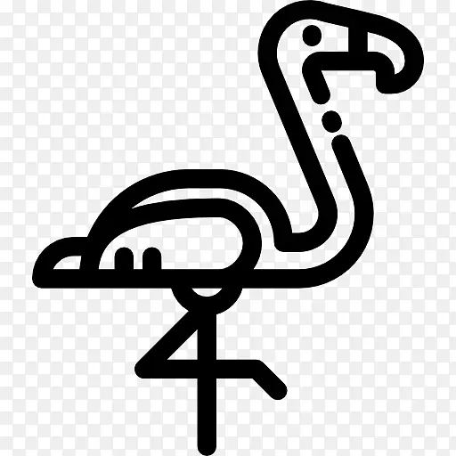 计算机图标动物符号野生动物剪贴画火烈鸟