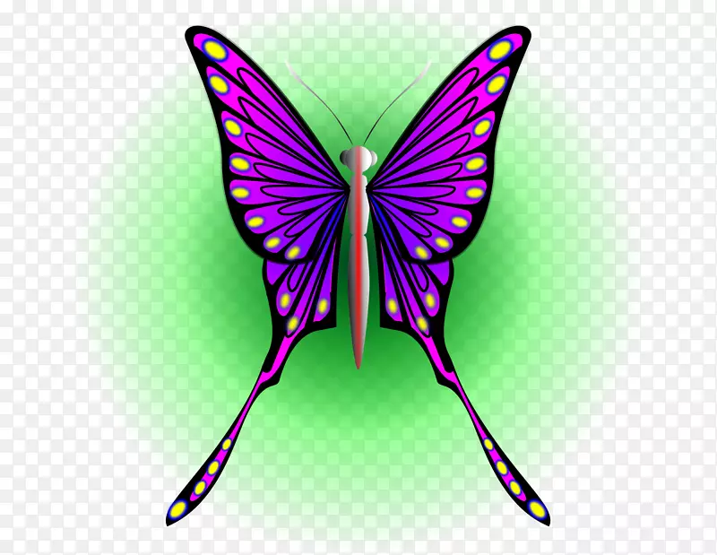 蝴蝶昆虫飞蛾剪贴画-紫色蝴蝶