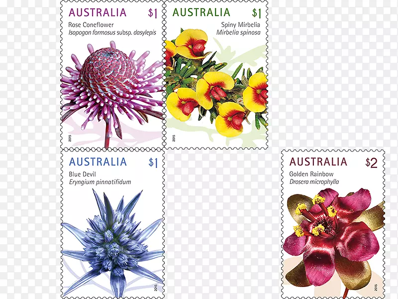 邮票野花澳大利亚邮政邮件-澳大利亚花卉