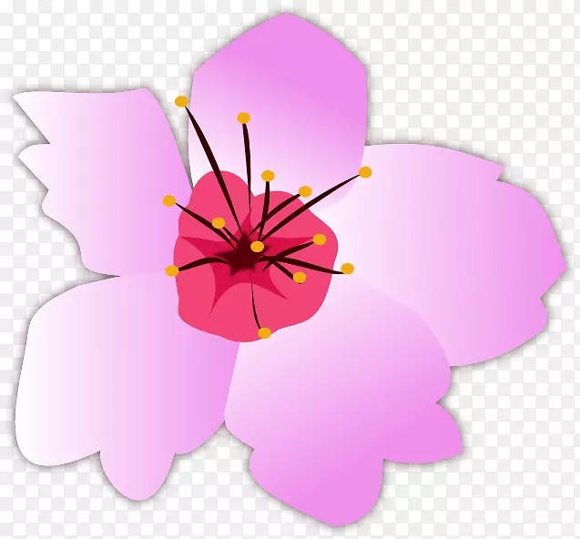 紫丁香花卉设计植物.沙花载体