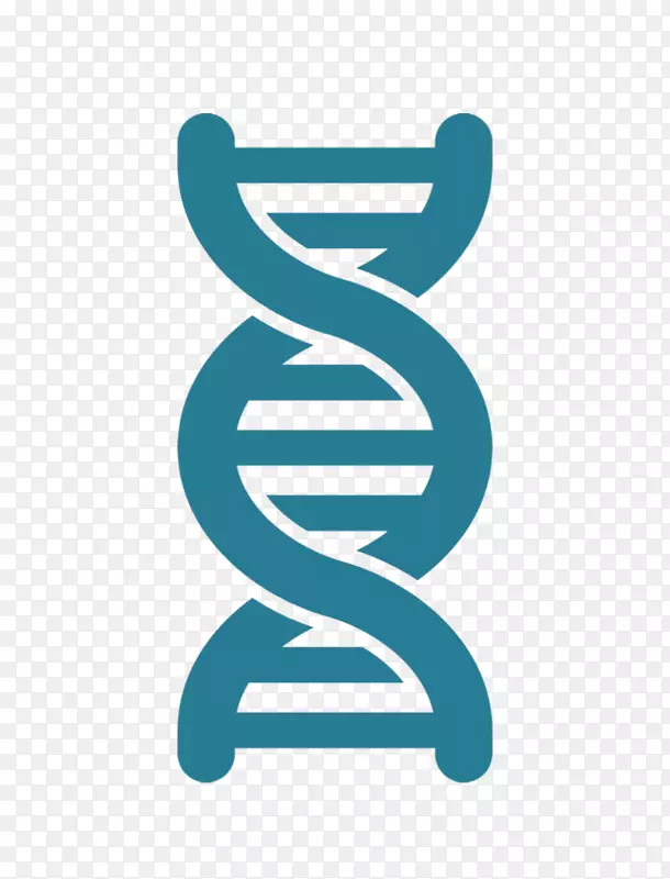 DNA核酸双螺旋载体人工基因合成-印迹