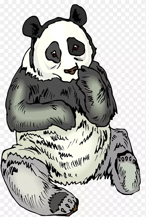 大熊猫熊猫秦山-猩猩崖