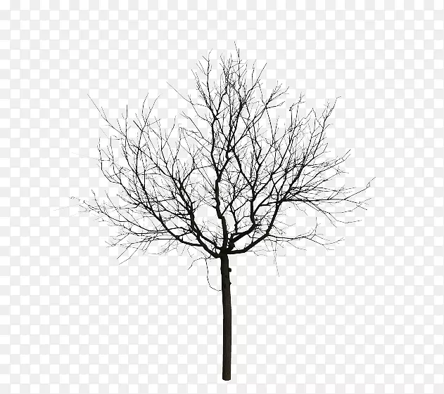 动画摄影树-黑色树
