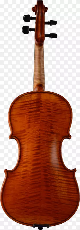 大提琴，弓弦乐器，低音-美丽的小提琴