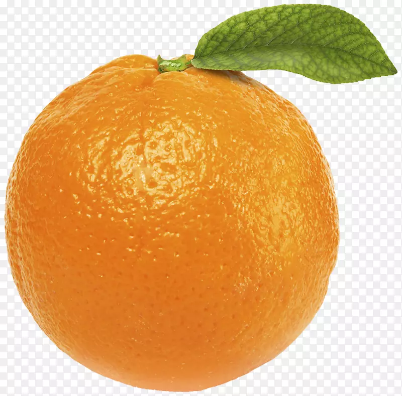 橙汁橙片水果剪辑艺术-夏季水果