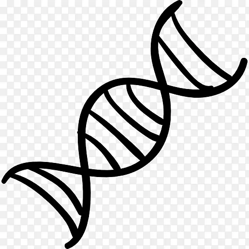 双螺旋：dna核酸结构的个人发现双螺旋计算机图标遗传学dna载体