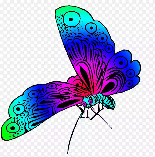 蝴蝶桌面壁纸彩色剪贴画-精彩