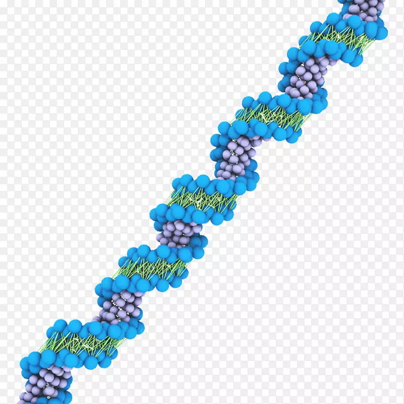DNA病毒马提尼核酸场-双螺旋