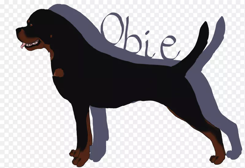 黑色和棕色的科隆猎犬斯马兰猎犬罗特韦勒奥地利黑狗和棕褐色猎犬的品种-这只狗正在支付新年电话。