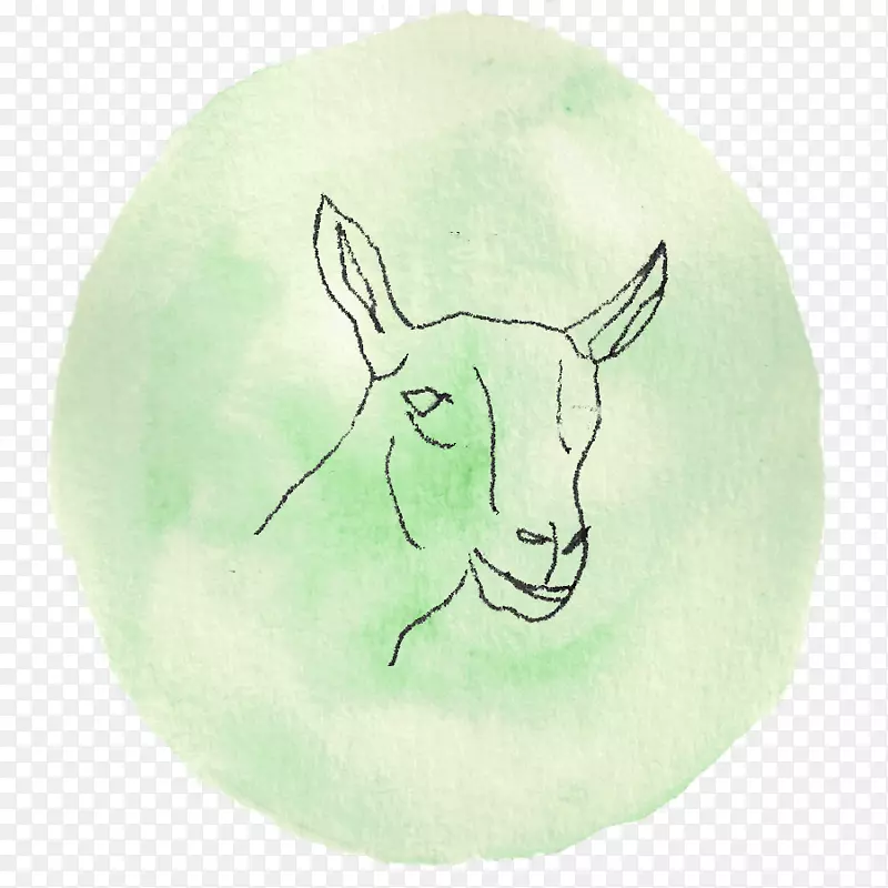 牛山羊兔画食物-摩羯座