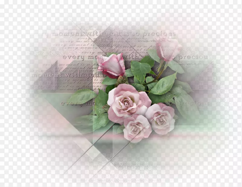 切花，花园，玫瑰，花卉设计，百叶玫瑰-东方明珠