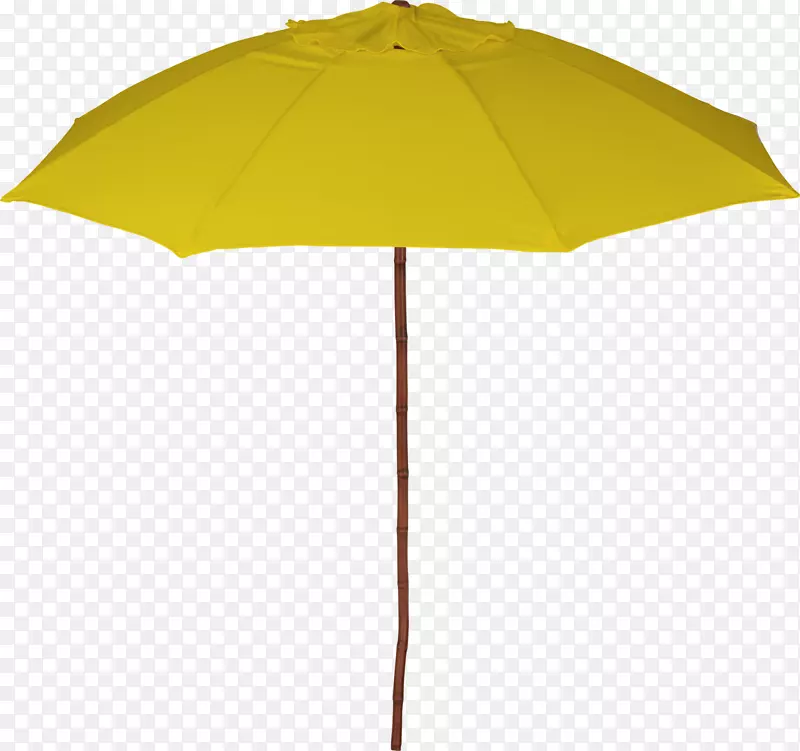 伞阴-黄伞