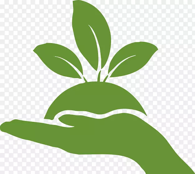 计算机图标废物管理关键西热带森林&植物园废物管理.手绘绿叶