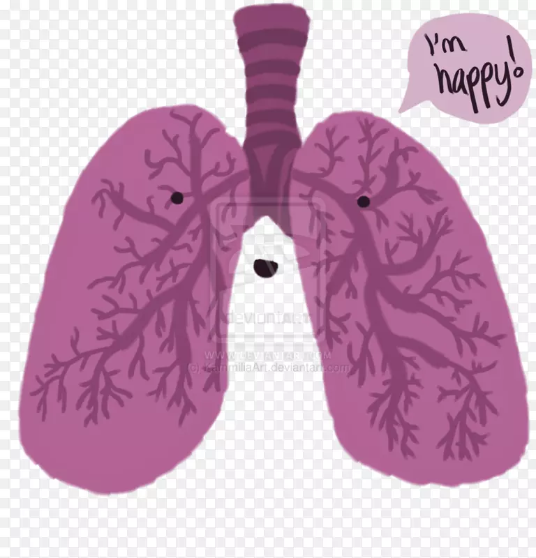 肺幸福心脏呼吸-创造性肺