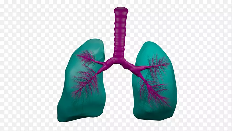动画肺气管呼吸-创造性肺