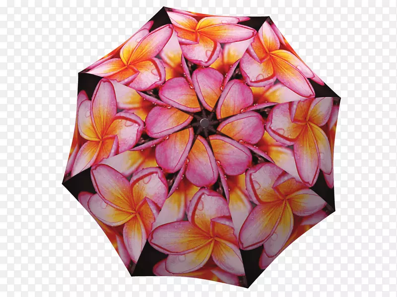 雨伞礼品服装配件雨衣-粉红色玉兰