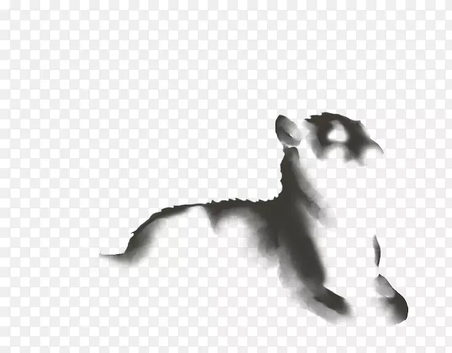 猫眼狮子狗-毛茸茸的灯光