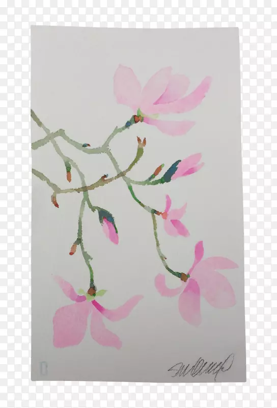 花卉设计授粉花瓣植物茎-水彩粉红色玉兰花