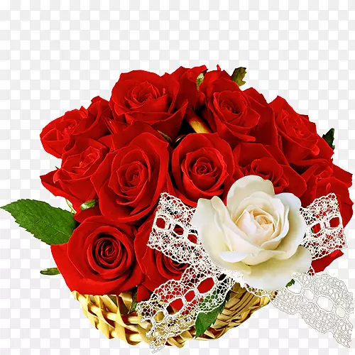 玫瑰WhatsApp印地语剪辑艺术快乐的花