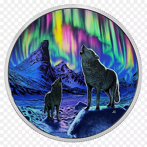 银币加拿大极光银狼在月光下嚎叫