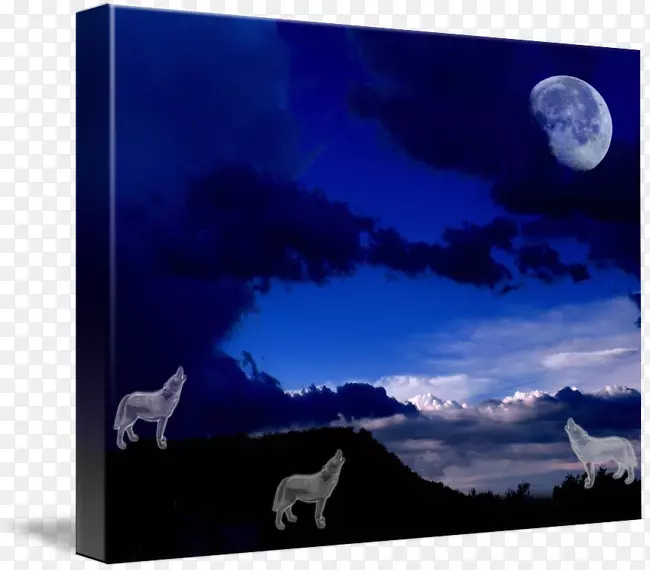 月亮桌面壁纸摄影灰狼-狼在月光下嚎叫