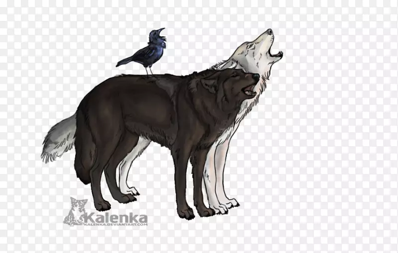 西伯利亚哈士奇血狼狗动物犬品种-银雾