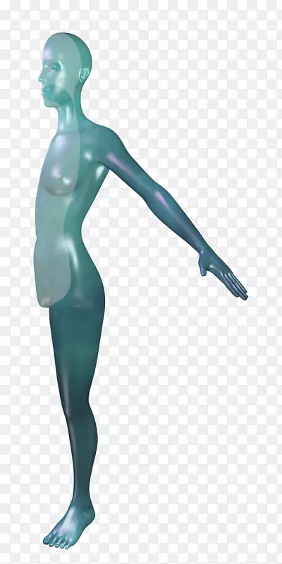 提尔·绿松石人体模型-穿过冷水珠的心脏