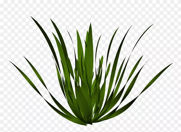 植物画树草-水下世界