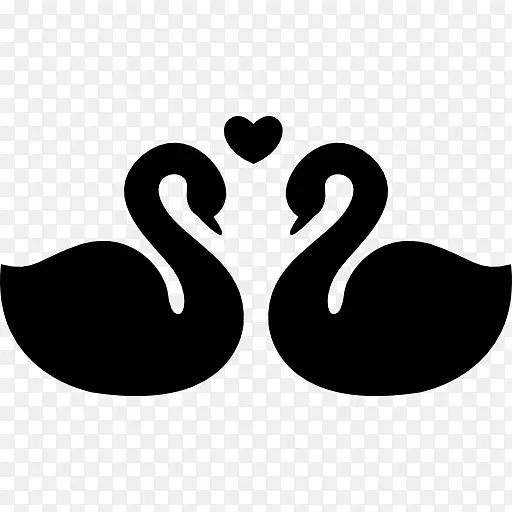 黑天鹅电脑图标剪辑艺术爱情天鹅
