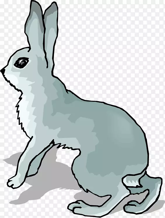 北极野兔雪鞋兔欧洲野兔剪贴画