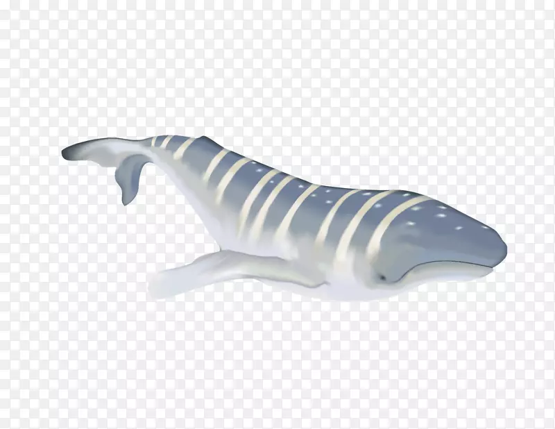 鲨鱼艺术数码插图-鲸鱼水彩