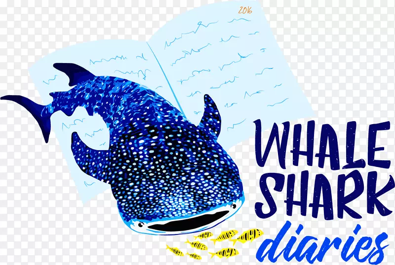 鲸鲨-大白鲨海洋-鲸鲨