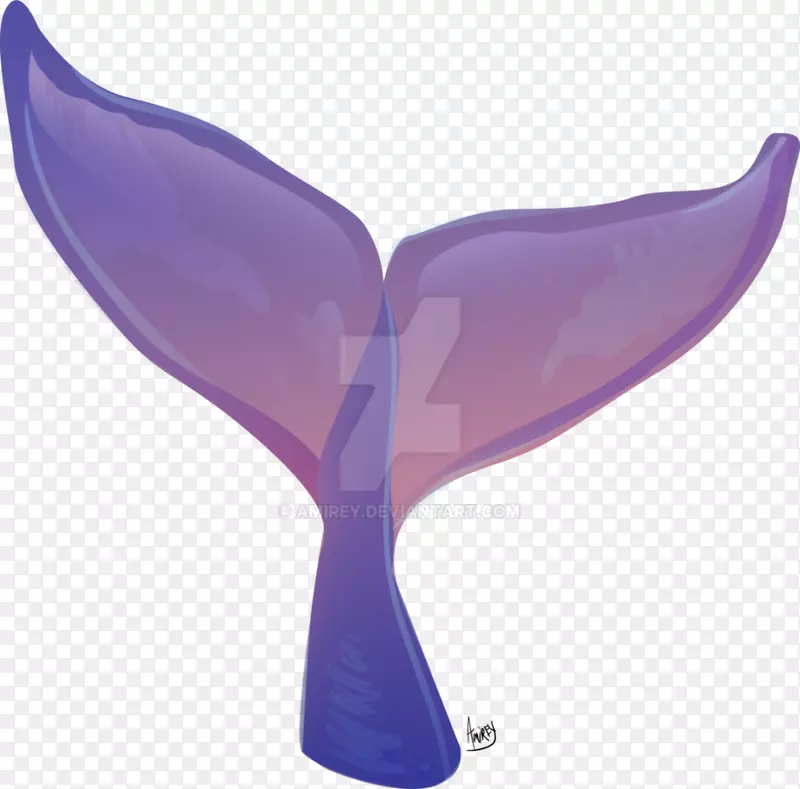 丑恶鲸鱼尾紫丁香-鲸鱼水彩